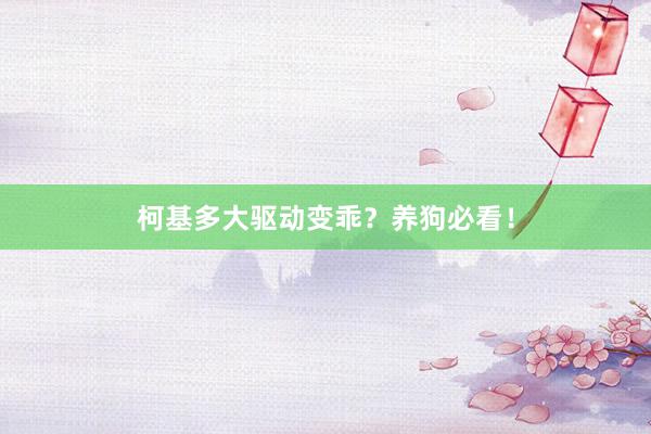 柯基多大驱动变乖？养狗必看！